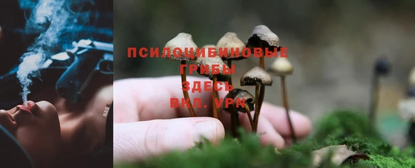 МДМА Абаза