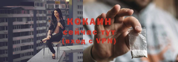 тгк Пересвет