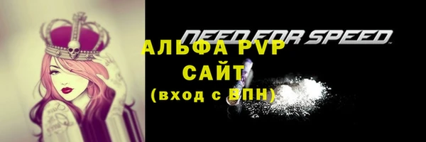 молекула духа Абинск