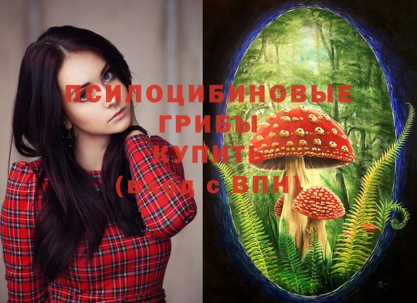 тгк Пересвет