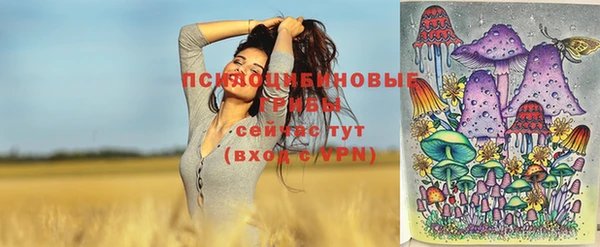 молекула духа Абинск